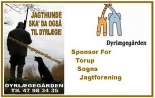 Sponsor Image